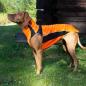 Preview: Eddie (Petite) Hundepullover reflektierend