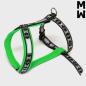 Preview: ManMat Geschirr Run - Silver Edition