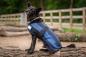 Preview: Cool on Track - Cooling Hundemantel