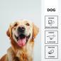 Preview: entoVITAL DOG vitamin boost