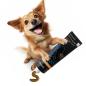 Preview: entoVITAL DOG vitamin boost