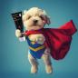 Preview: entoVITAL DOG vitamin boost PUPPY