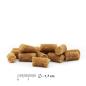 Preview: entoVITAL DOG Soft Snacks HYPOALLERGENIC
