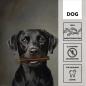 Preview: entoVITAL DOG Dental Sticks