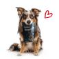 Preview: entoVITAL DOG Soft Snacks HYPOALLERGENIC