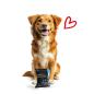 Preview: entoVITAL DOG Dental Sticks