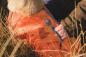 Preview: Hurtta Camo Swimmer Vest