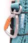 Preview: Toruing Bungee Leash teal