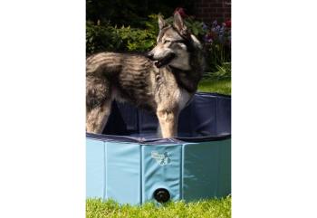 CoolPets Hundepool