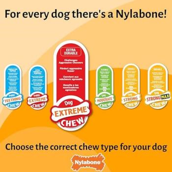 Preview: Nylabone Bacon and Cheese Broccoli - L