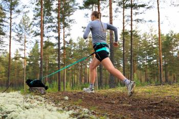 Nonstop CaniX Belt 2.0 aqua