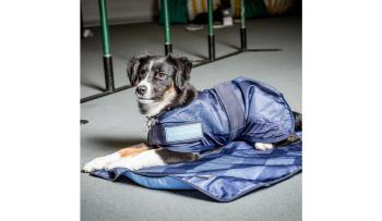 Preview: Cool on Track - Cooling Hundemantel