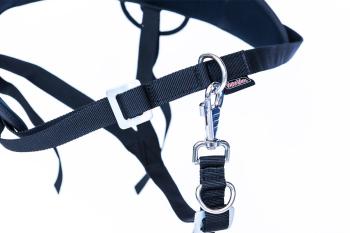 Preview: Ski-Belt (Dogtrekking)