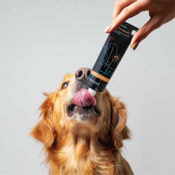 entoVITAL DOG vitamin boost