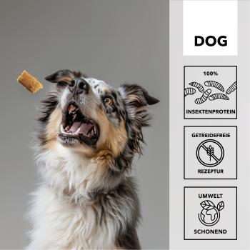 entoVITAL DOG Soft Snacks HYPOALLERGENIC