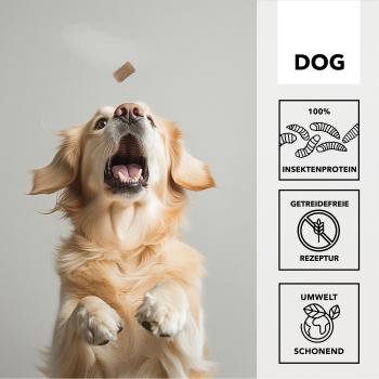 entoVITAL DOG Cubes