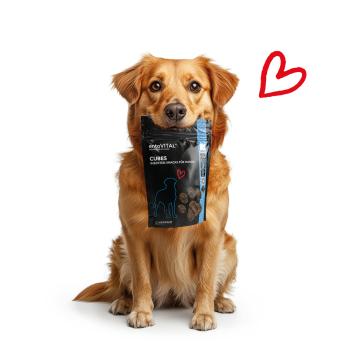 entoVITAL DOG Cubes