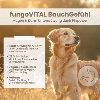 Preview: fungoVITAL BauchGefühl 100g