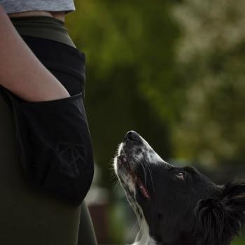 HUNDLANDS Belohnungsgürtel POCKY