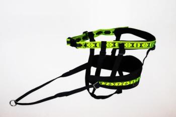 Preview: Race Belt Pro