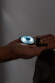 Max & Molly Matrix Ultra LED
