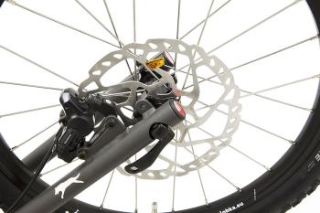 Kostka Mushing Max G6