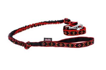 Preview: Leine mit Rückdämpfer