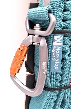 Toruing Bungee Leash teal