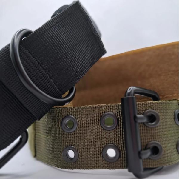 taktisches Halsband
