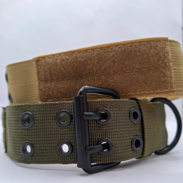 taktisches Halsband