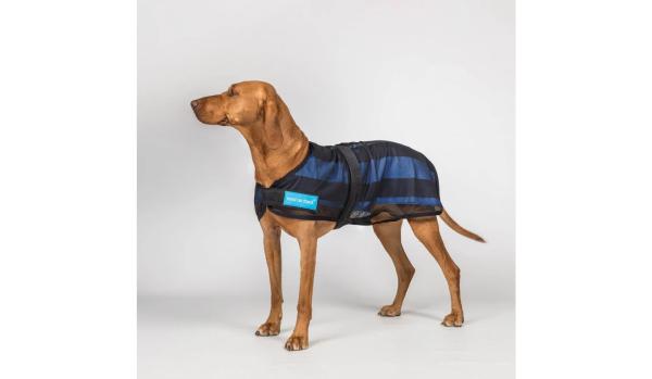 Cool on Track - Cooling Hundemantel