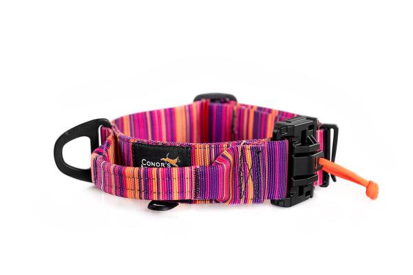 SAR Hundehalsband "Conor´s Adventure" 40mm
