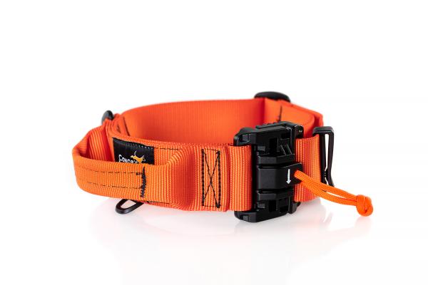 SAR Hundehalsband "Conor´s Adventure" 40mm