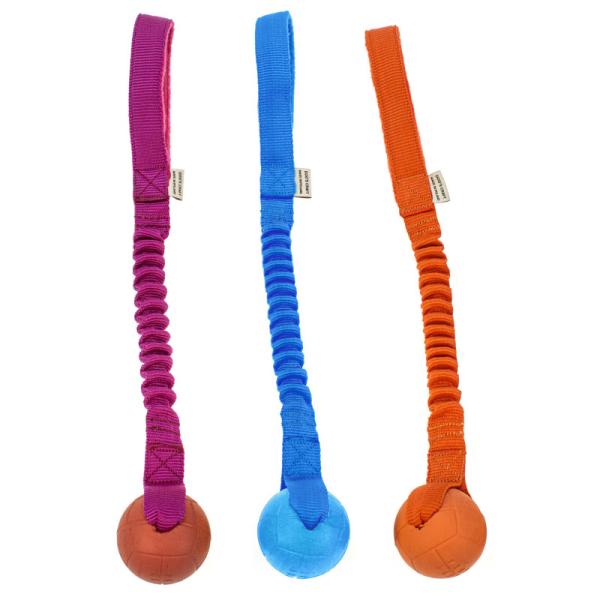 DogsCraft HOKO Basic M