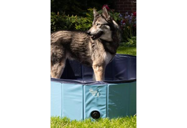 CoolPets Hundepool