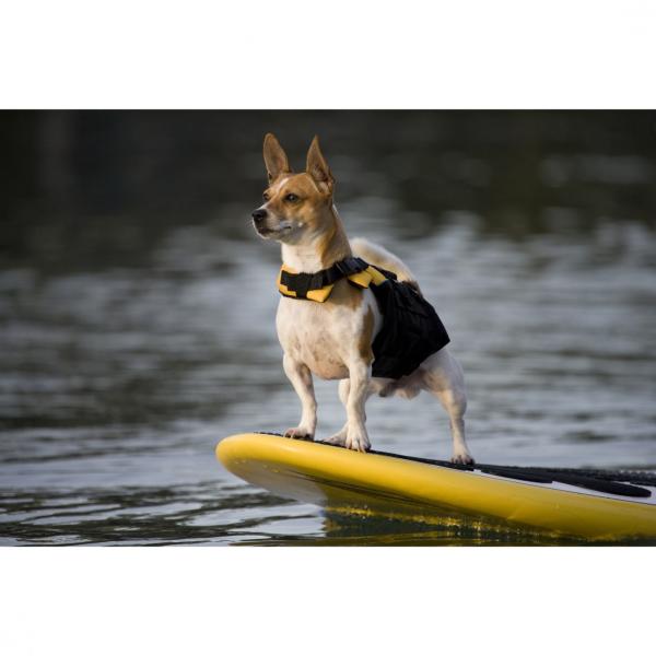 EzyDog Micro DFD Schwimmweste