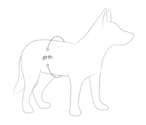 EzyDog DFD Schwimmweste XS