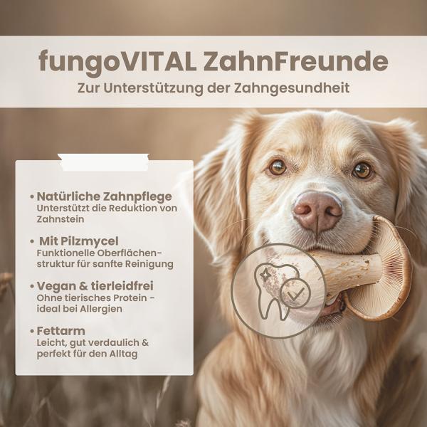 fungoVITAL ZahnFreunde 180g