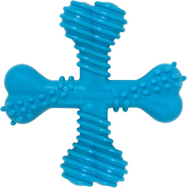 Nylabone Dura Chew x Bone Beef S