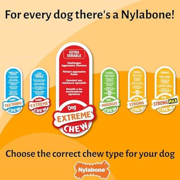 Nylabone Bacon and Cheese Broccoli - L