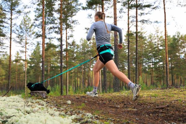 Nonstop CaniX Belt 2.0 aqua