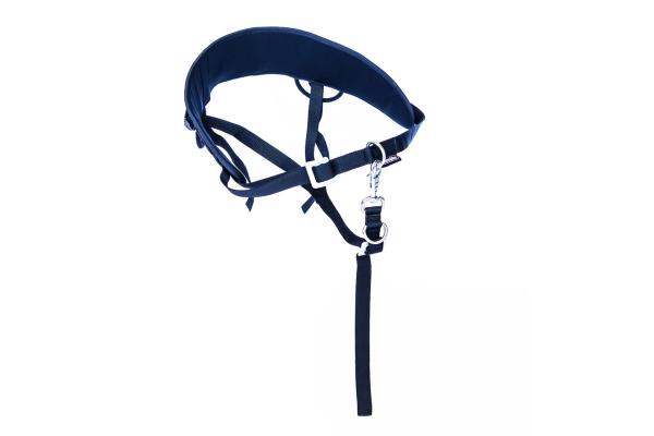 Ski-Belt (Dogtrekking)