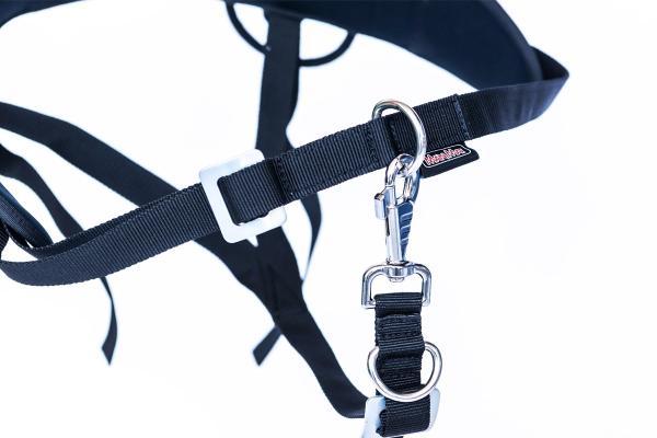 Ski-Belt (Dogtrekking)