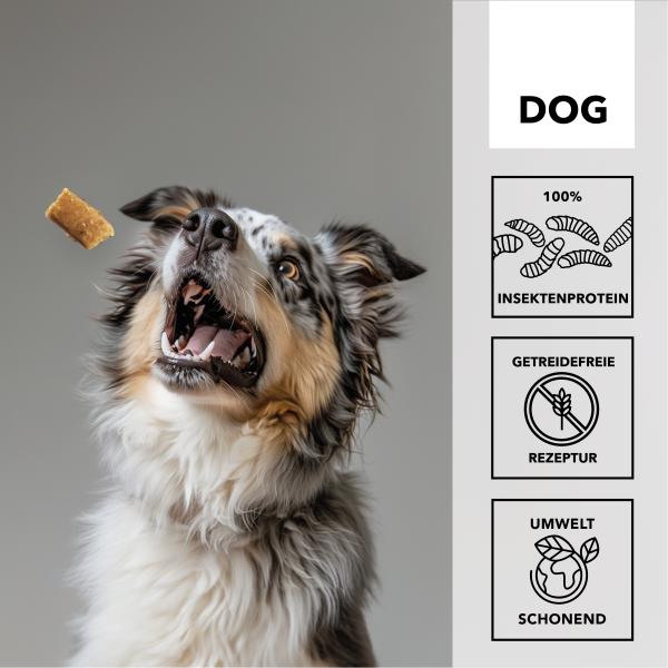 entoVITAL DOG Soft Snacks HYPOALLERGENIC