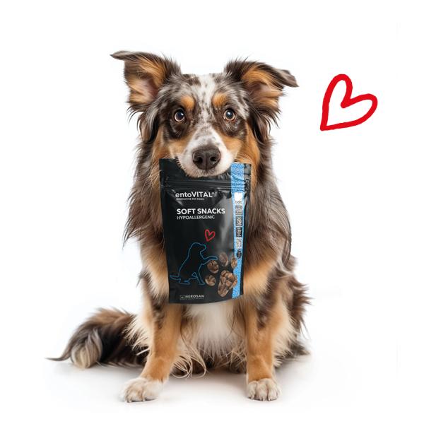entoVITAL DOG Soft Snacks HYPOALLERGENIC