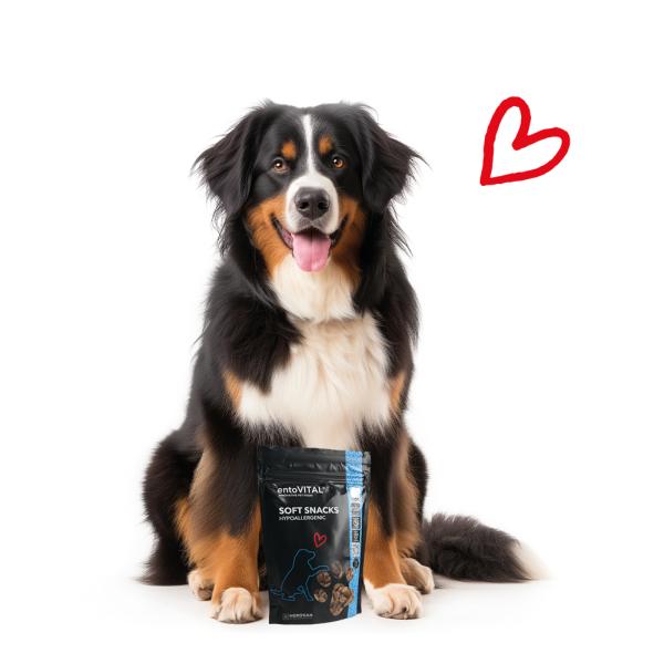 entoVITAL DOG Soft Snacks HYPOALLERGENIC
