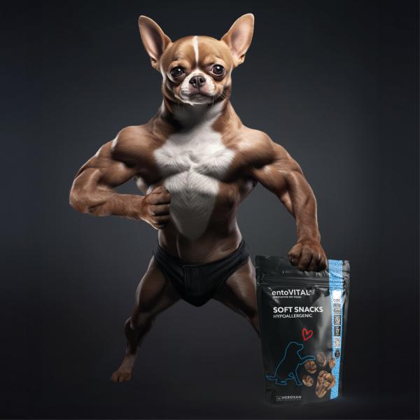entoVITAL DOG Soft Snacks HYPOALLERGENIC