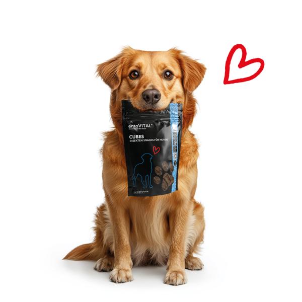 entoVITAL DOG Cubes