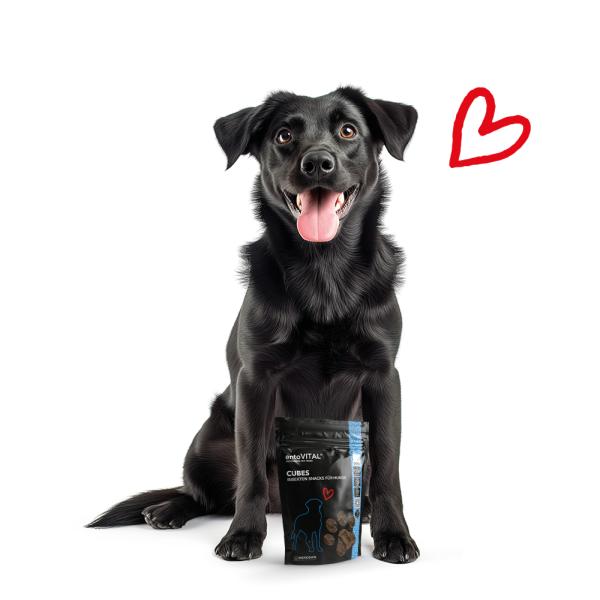 entoVITAL DOG Cubes