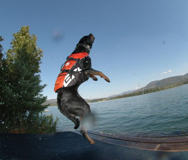 EzyDog DFD Schwimmweste XS